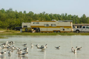 Lake with gulls and camper, Canada Lake with gulls and camper, Canada